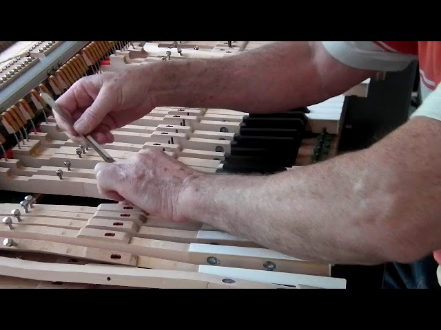 Grand Piano Action Regulation