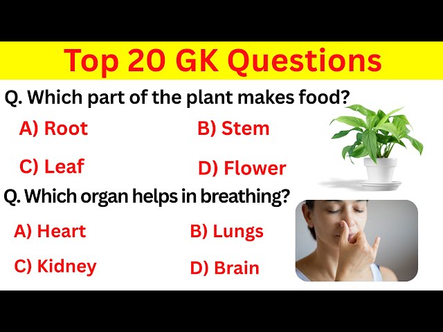 Top WORLD GK Questions || GK Quiz in English || GK Question and answer || General Knowledge