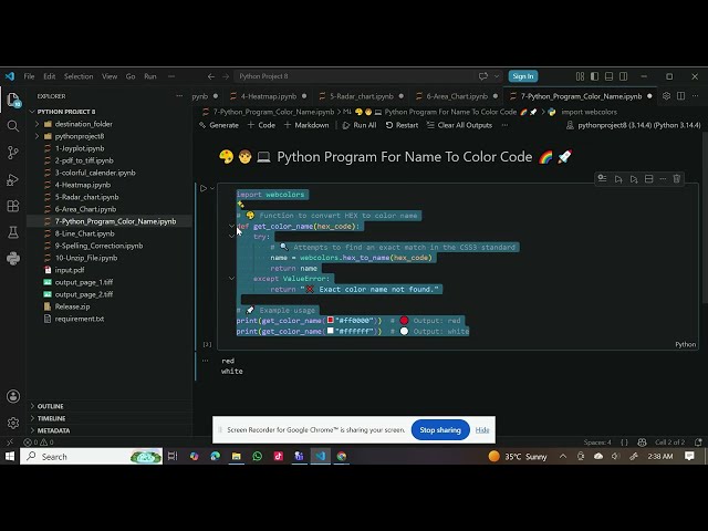 Build a Color Name Detector in Python 🎨 | Python Project