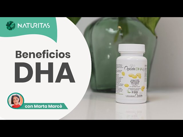 🧠 ¿Qué beneficios aporta el DHA a nuestro cerebro?