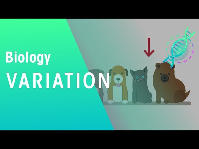 Variation | Genetics |  Biology | FuseSchool