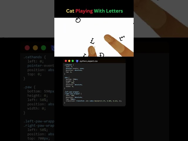 Cat Playing with Letters: Click & Hold Interactive Game#coding #programming #catplaying #interactive