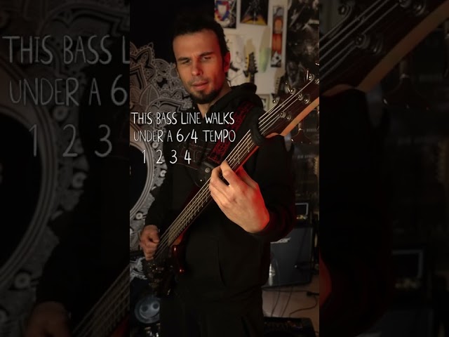 Tool: Rosetta Stoned Cool Fact #SHORTS