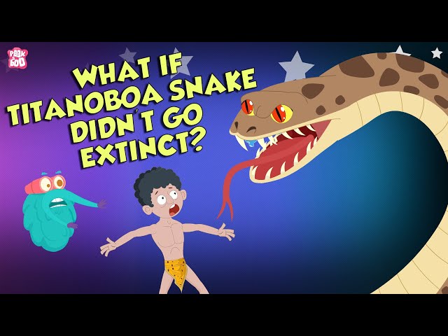 What If The Titanoboa Didn't Go Extinct?  | Biggest Snake Ever | Dr Binocs Show | Peekaboo Kidz