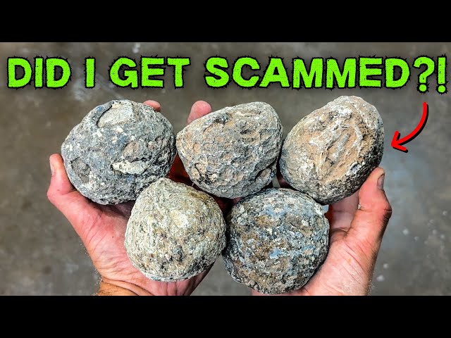 Are These COCONUT Geodes even Hollow?!