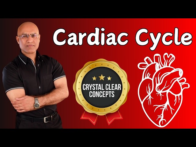 Cardiac Cycle | Cardiology | Systole & Diastole | Cardiovascular🫀