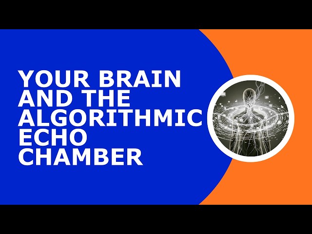 Your Brain & the Algorithmic Echo Chamber