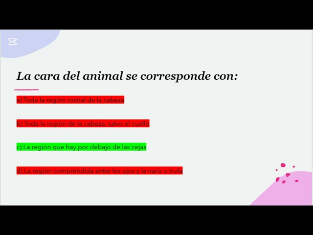 Repaso de Anatomía