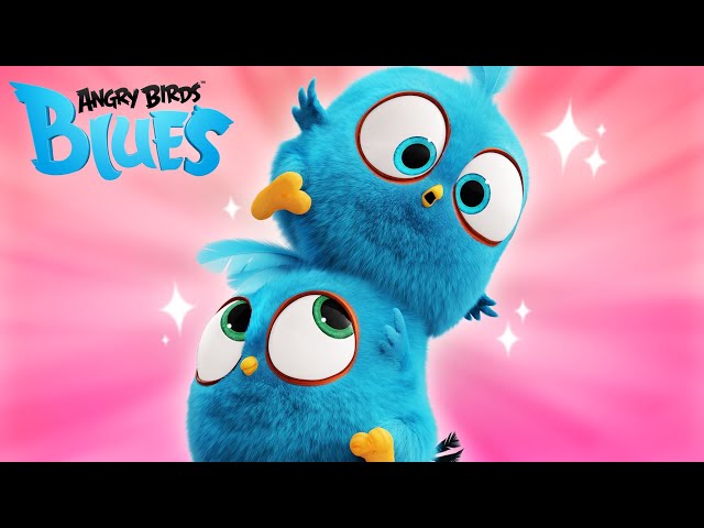 Angry Birds Blues | The Complete Collection! 🤩