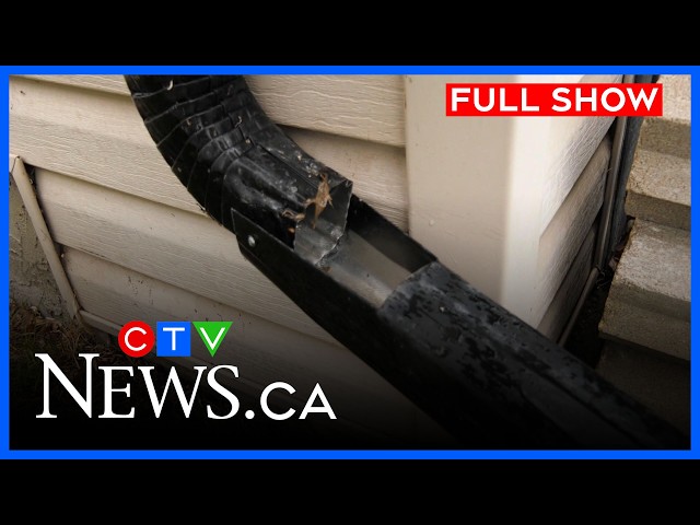 Heavy rainfall continues in Calgary | CTV News Calgary at 5 for June 1, 2026