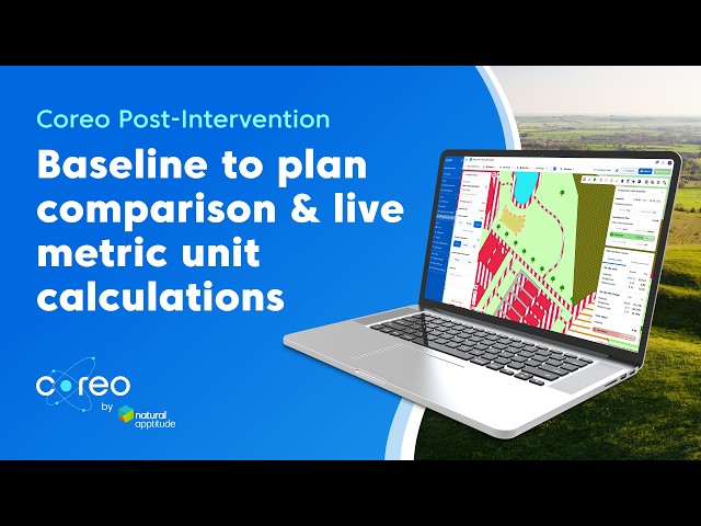 BNG Post-Intervention #7 - Automatic baseline and site plan comparison