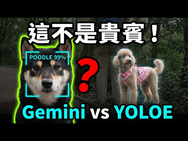Black Shiba Inu: I'm Not a Poodle! An AI Account of Erziping with Gemini Omni and YOLOE