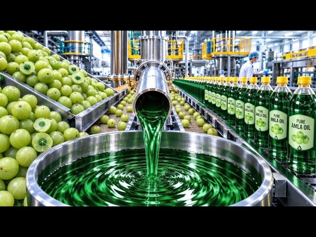 Millions of Fresh Amla Fruits Turned Into Premium Hair Oil | Inside a Massive Factory