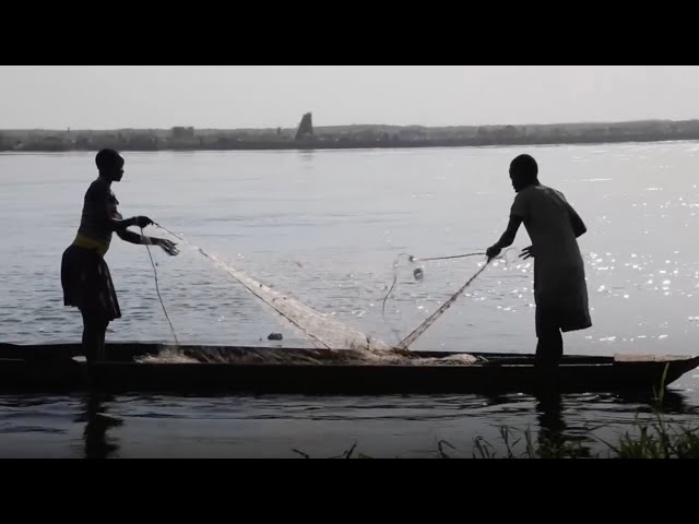 State of Food Security and Nutrition in The World 2025