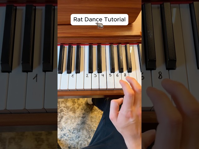 Rat dance 🐀 #piano #tutorial
