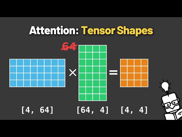 Multi-Head Attention Tensor Shapes