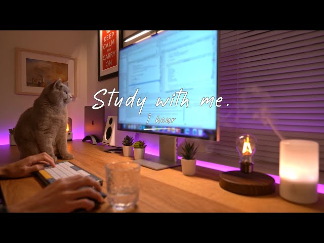 1-Hour Study with Me & 🐱 | Pomodoro Timer, Lofi Relaxing Music | Day 124