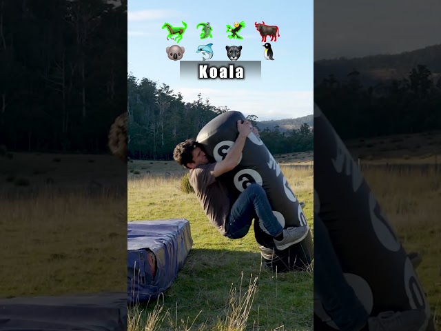 How Animals Fight. Part 2 (with emojis)