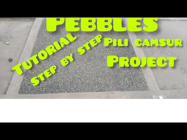 pebbles tutorial step by step pili camsur project