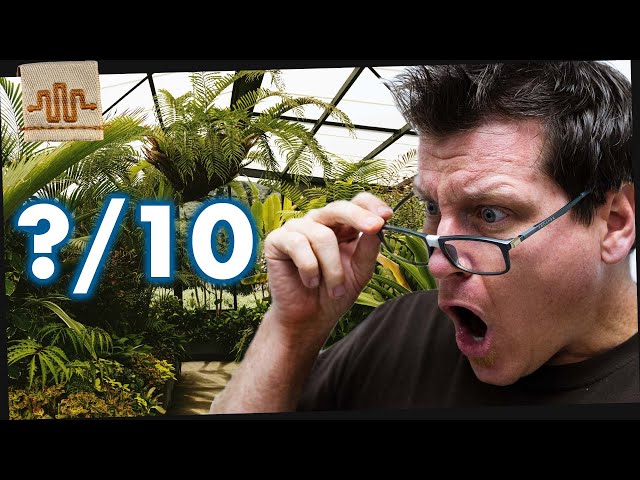 Rating YOUR Enclosures PART 2 (Super Dwarf Retics)