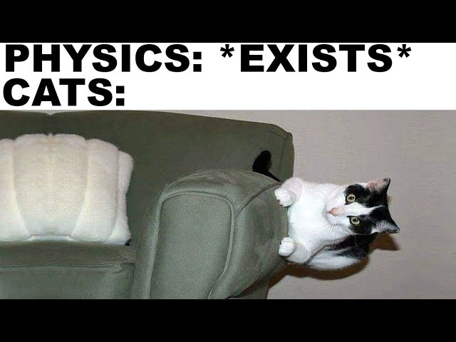 Cat Logic Makes No Sense