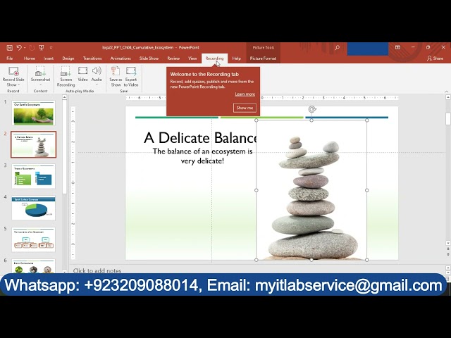 Exp22_PowerPoint_Ch04_Cumulative_Ecosystem | Exp22 PowerPoint Ch04 Cumulative Ecosystem