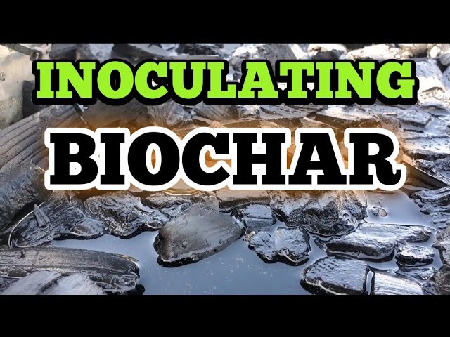 The Easy method for inoculating BIOCHAR!