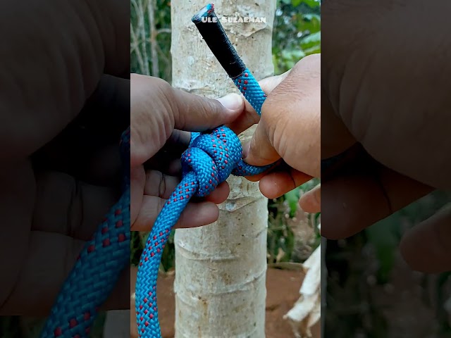 Learn to tie a very strong and easy knot💯 #tricks #outdoor #easyknot #knottying #tutorial