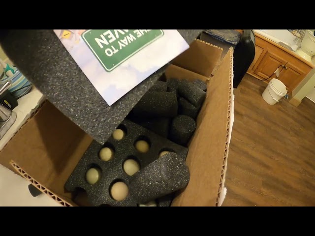 Hatching pheasant eggs we bought on Ebay