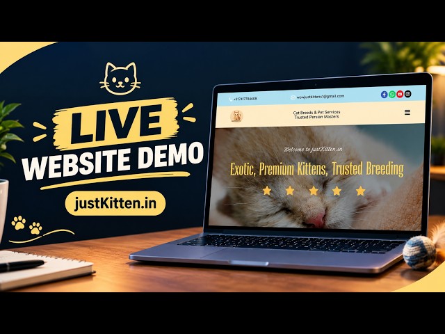 My First Website Project | Live Demo | JavaScript Full-Stack Web Developer
