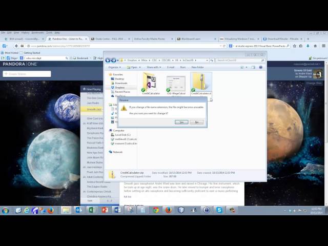 Working with Visual Basic Projects