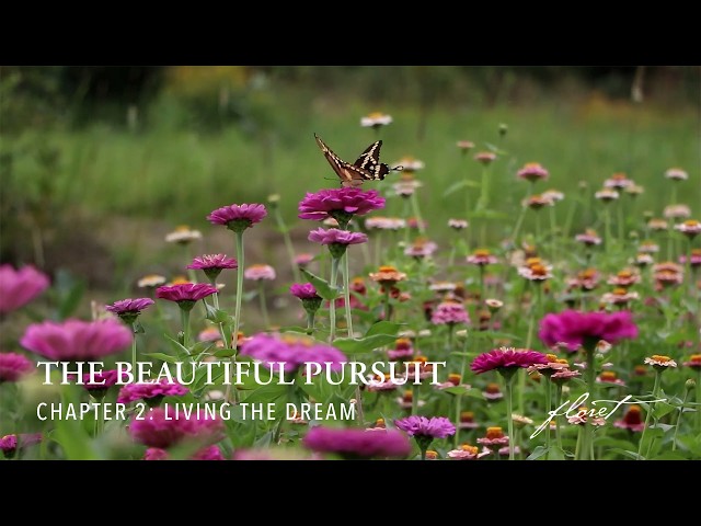 The Beautiful Pursuit | Chapter 2: Living the Dream