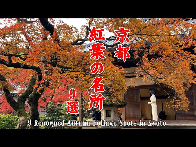 [Kyoto] 9 Must-Visit Spots for Autumn Foliage