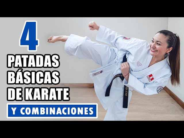 4 BASIC KARATE KICKS - Leg Combination