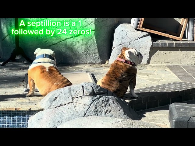 Quantum computing is revolutionizing technology, DFI’s coatings are reshaping the future of glass.