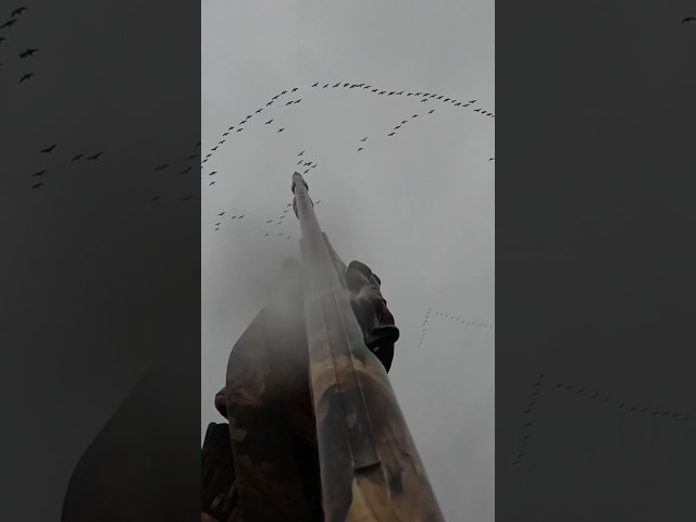 The ultimate skyblast #hunting#goosehunting#duckhunting