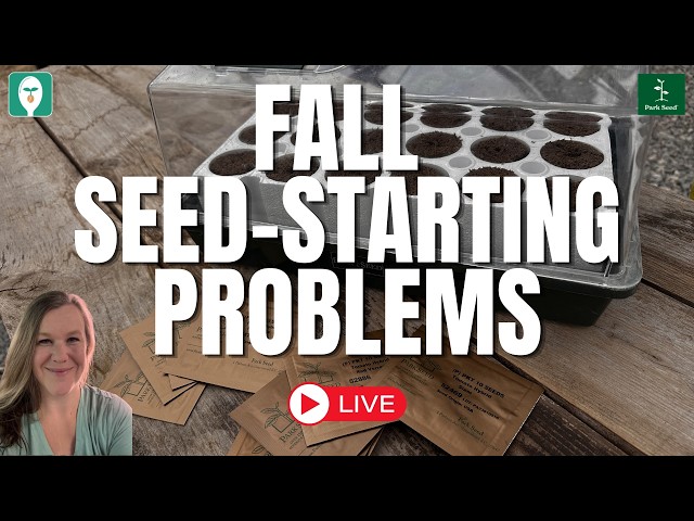 Common Fall Indoor Seed Starting Problems and How to Fix Them