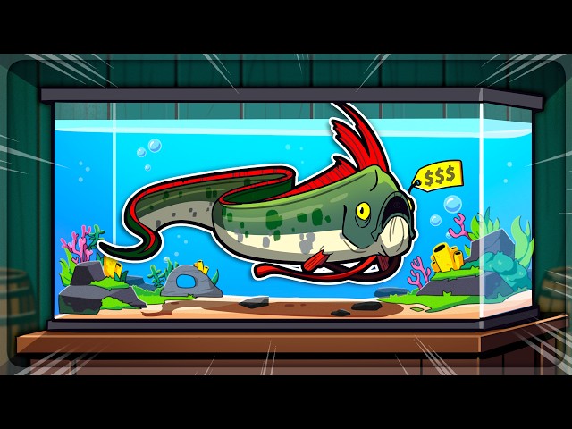 I caught fish to generate millions