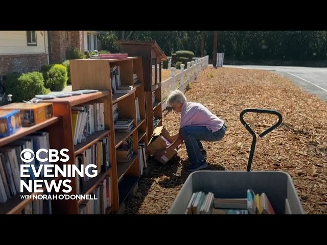 California woman takes little free libraries to another level