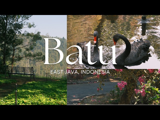 Batu Indonesia Travel Vlog | Taman Hortensia, Batu Secret Zoo 🦒🍃🌿