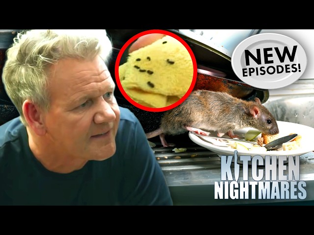 "You're Serving Food With Rat S#!t Above It!" | NEW Kitchen Nightmares COMPILATION