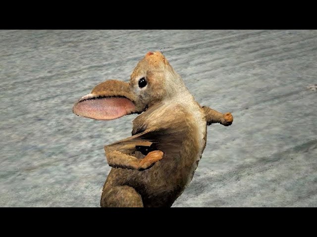 THANK YOU FOR 900K SUBSCRIBERS! (Best Moments Compilation)