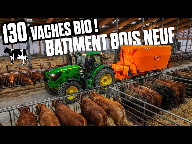 🤠 VISIT this MAGNIFICENT WOODEN LIVESTOCK BUILDING and its 130 ORGANIC ANIMALS + CONTENTION CAGE!🐄