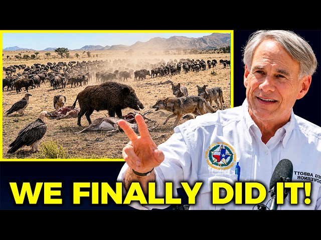 Texas Released THIS Predator to Stop Super Pigs  — The ONLY Solution to the Super Pig Invasion