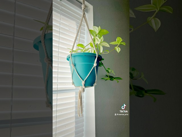 The easiest macrame plant hanger in 5min🪴#diy #planthanger #macramehanger #crafts #craftycreations