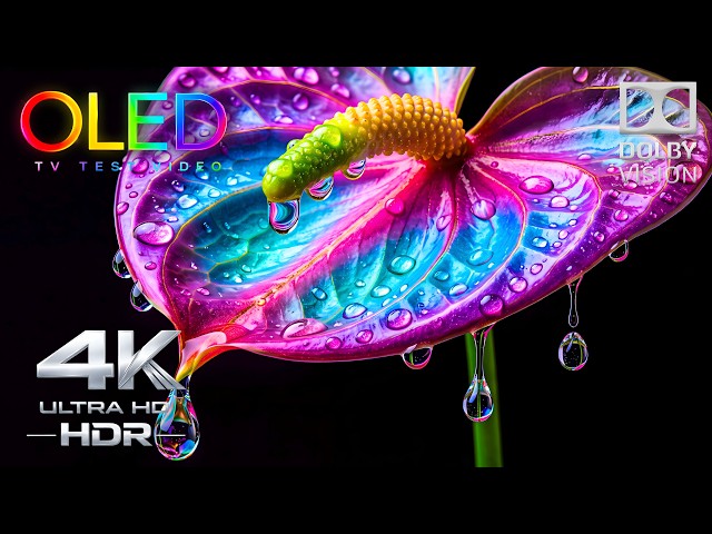Pure OLED Perfection | 4K HDR 240FPS Dolby Vision Display Test (Ultra HD TV)