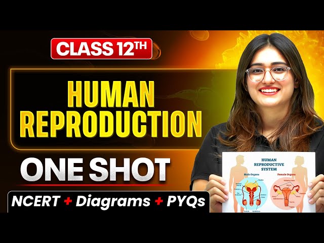 Human Reproduction Class 12 One Shot🔥| NCERT + Diagram + PYQs | Biology Chapter 3 By Aarushi Ma'am