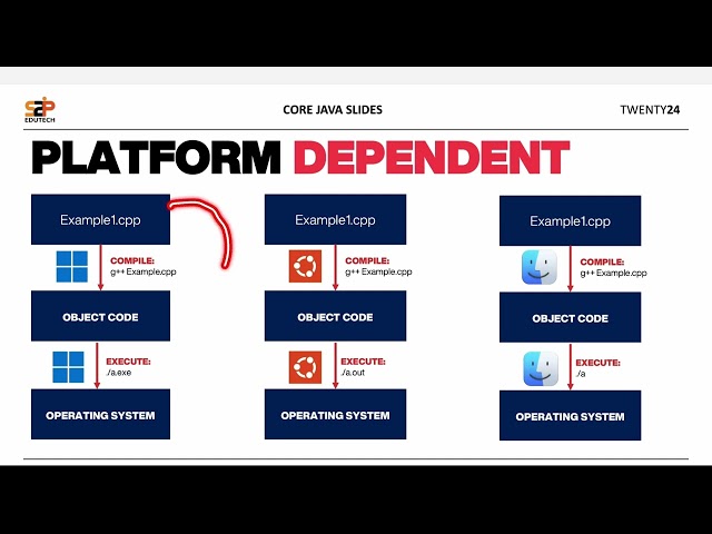 Platform Dependent Programming Languages | What Are Platform Dependent Languages? | S2P