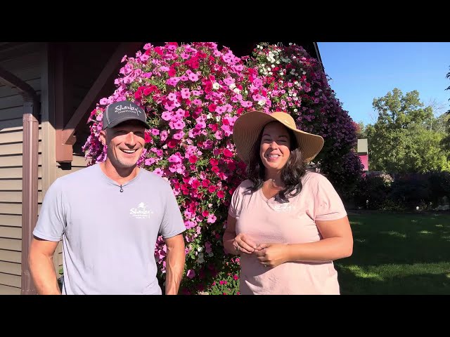 Keep Those Summer Flowers Going Into Fall! Quick Tips for Success