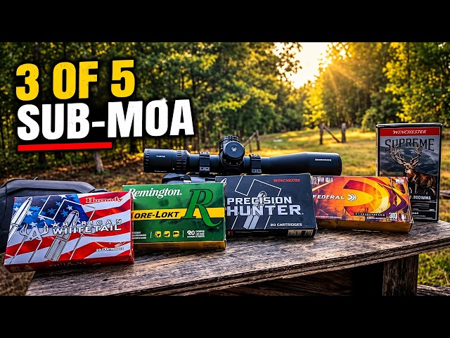 3 of 5 .300 Win Mag Loads Went Sub-MOA in My Ruger American Gen 2